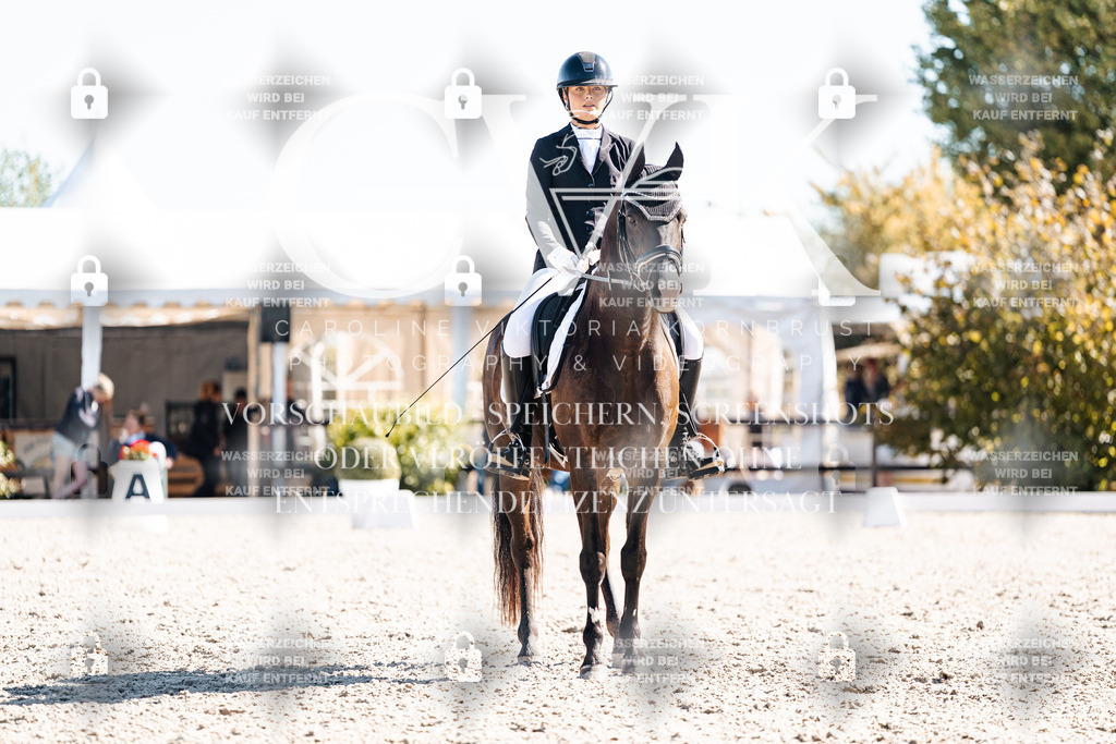 CK909027 | Turnierfotografie Pferdefotografie Trier Rheinland-Pfalz Pferdesport Reitsport Tierfotografie Sportfotografie Pferdevideo Pferdevideografie Equestrianvideography equestrianphotography  - Realisiert mit Pictrs.com