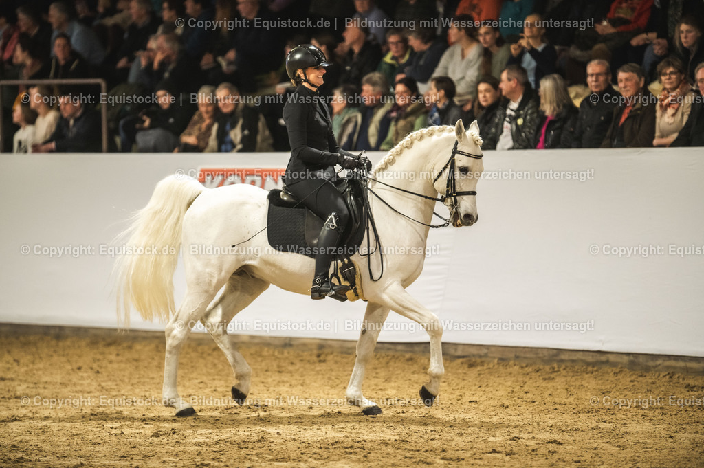 20240302_Hengstvorstellung_Marbach_TOMsPiC_1076 | equistock