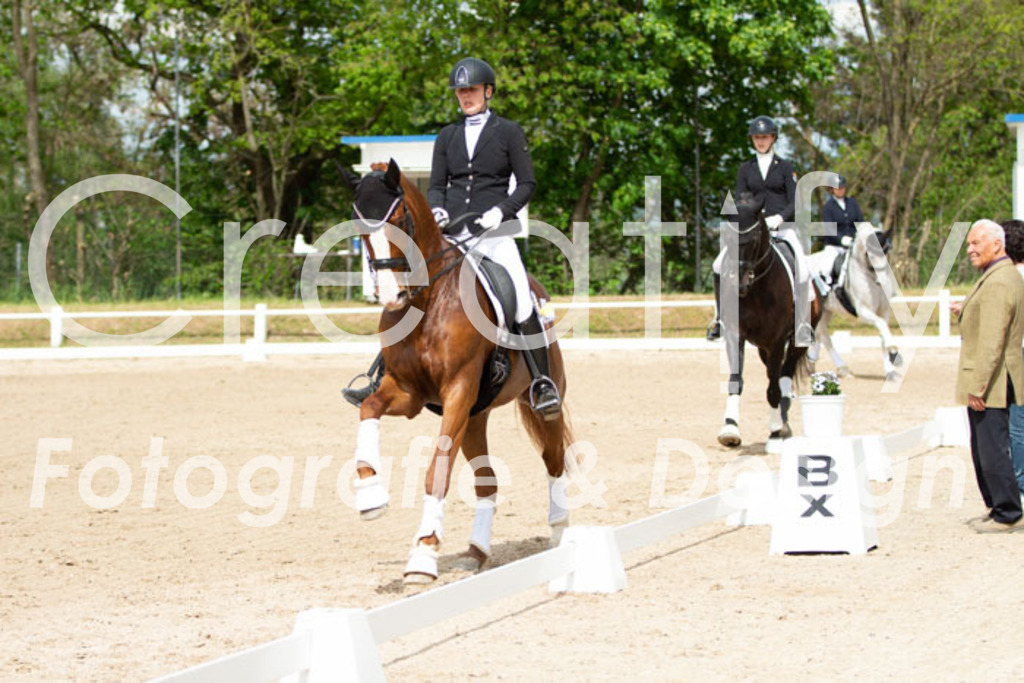 IMG_7027 | Creatify Fotografie