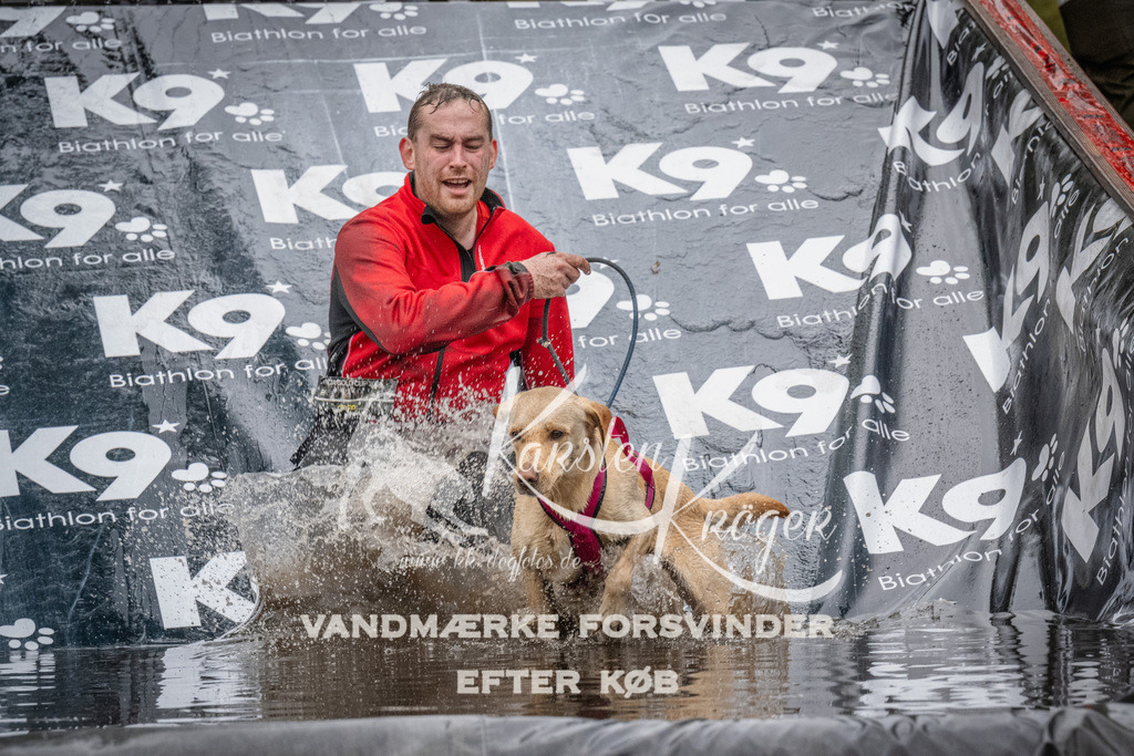 1103_ZZ91472 | kk-dogfotos