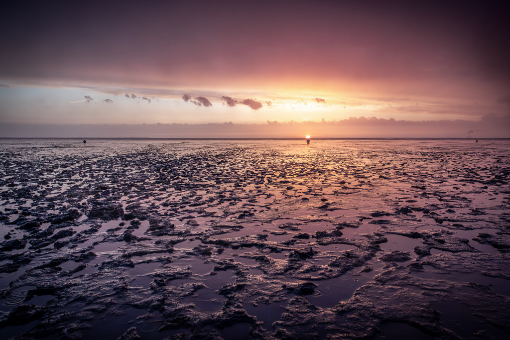 Oder Watt bei Sonnenuntergang | Das Wattenmeer bei goldener Stunde.