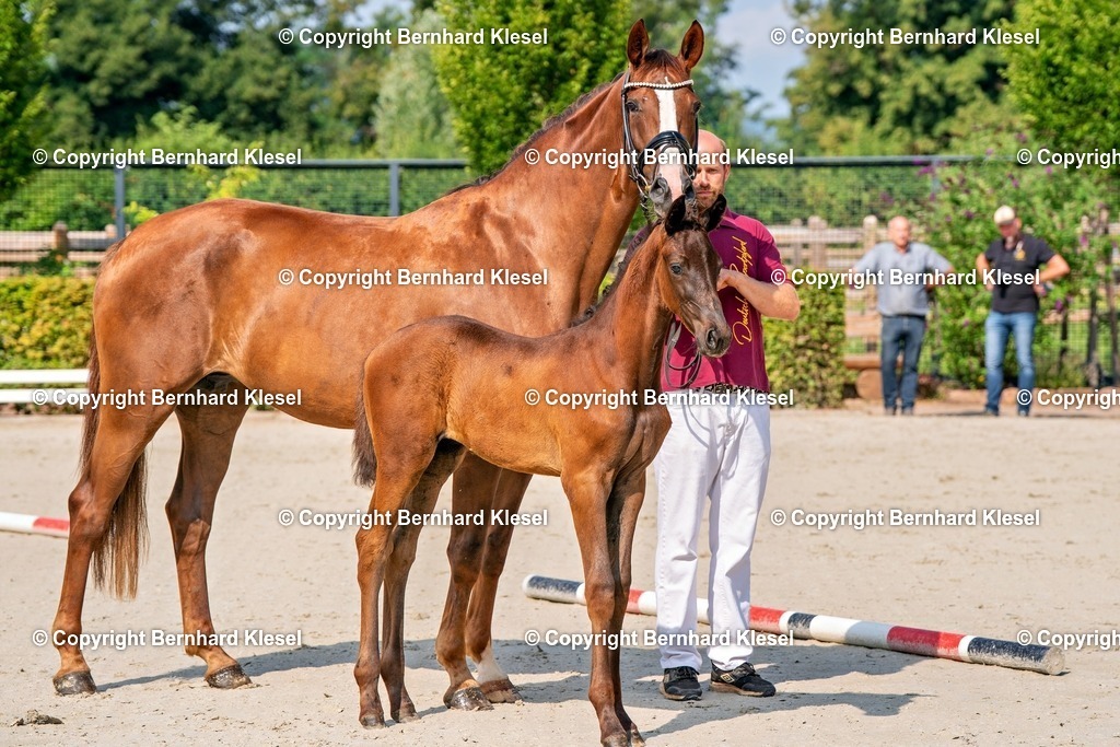 2A908828 | foto-team-bernhard - Realisiert mit Pictrs.com