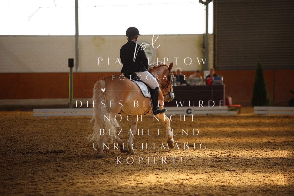 IMGT7334 | pl-fotografie