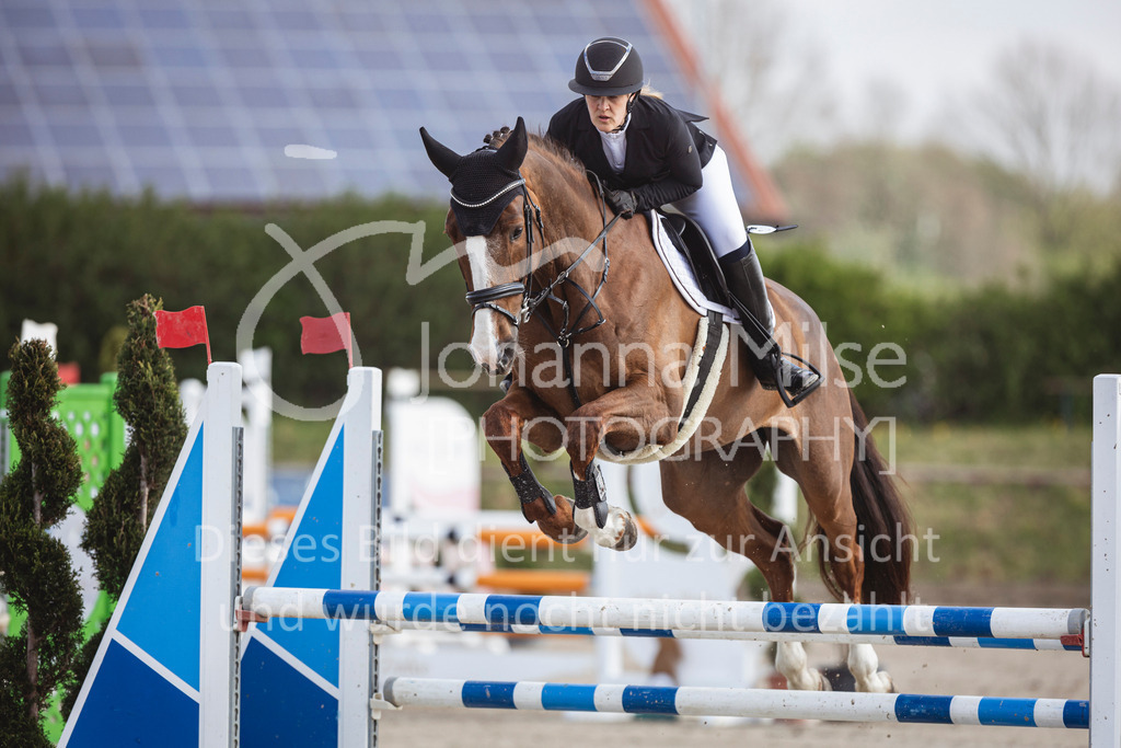 250419_Frühlingsfest_Springpf-L-310 | Deine schönsten Turniermomente als professionelle Fotos! Entdecke hochwertige Pferdesport-Fotografie im Online-Shop. Jetzt Fotos finden & bestellen!