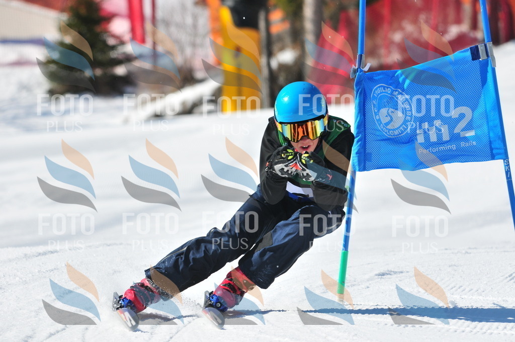 C3853 | holidayphoto