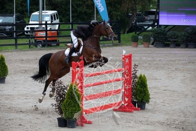 2B4A2615 | pixelfaenger - Realisiert mit Pictrs.com