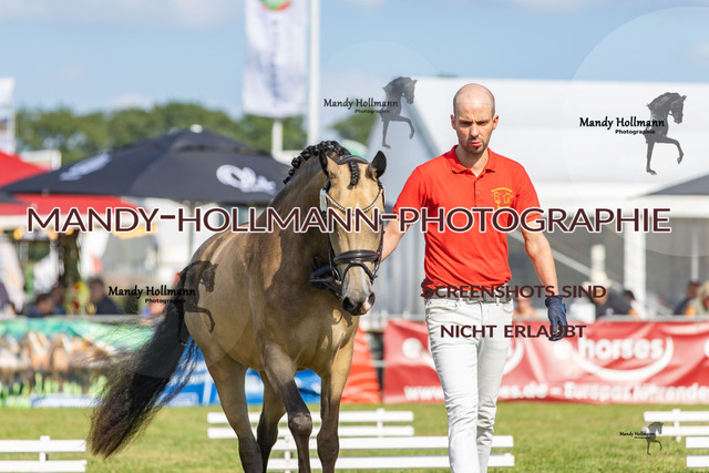 LTN STUTEN 2 (959) | mandyhollmannphotographie