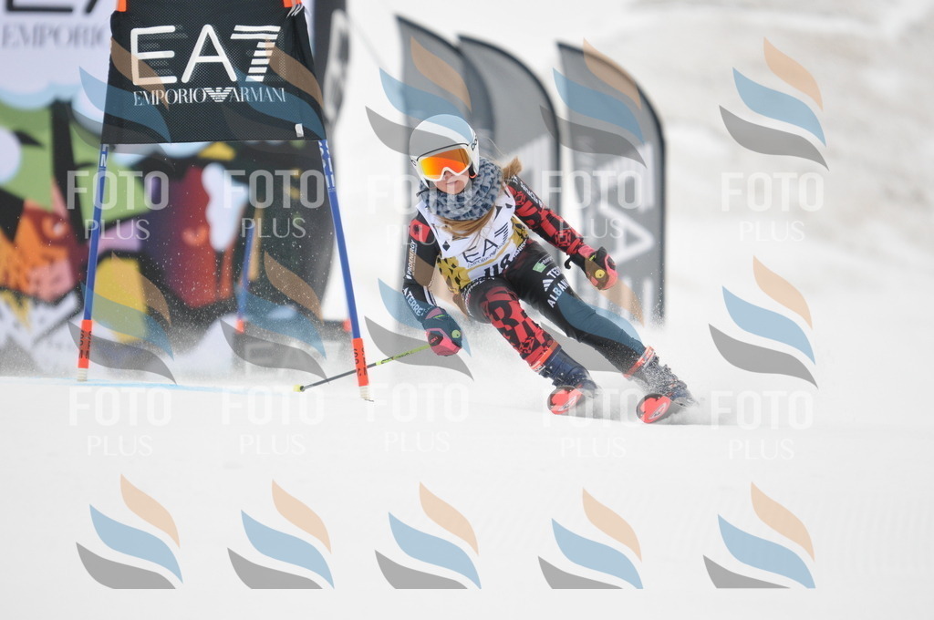 DSC_8190 | holidayphoto