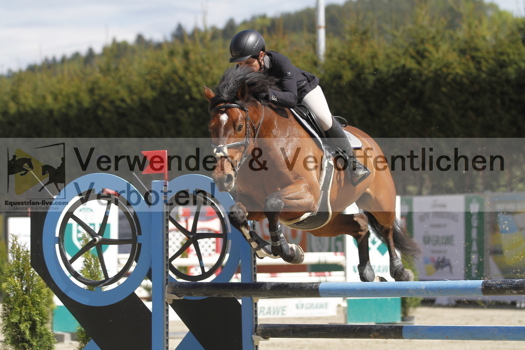 _MG_5499 | equestrian-live-com