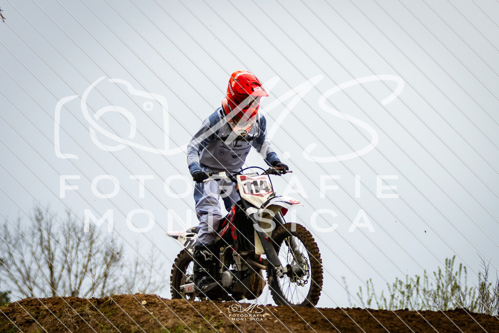 20260321-162A1037 | moni.sica.fotografie - Realisiert mit Pictrs.com