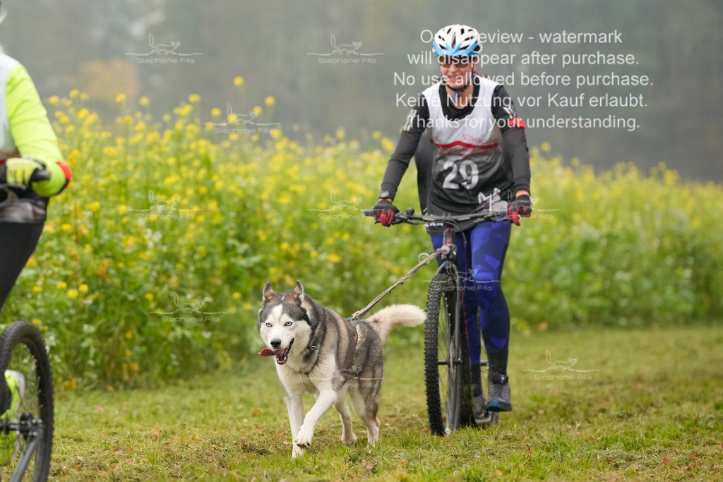 Visbeck_Sa_Scooter_Hc-120 | stephaniefillaphotographie - Realisiert mit Pictrs.com