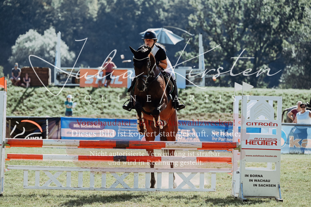 DSC_5704 | Pferde- und Turnierfotografie in Westsachsen. Pferdeportraits, Auftragszeichnungen und intuitive Kunst.