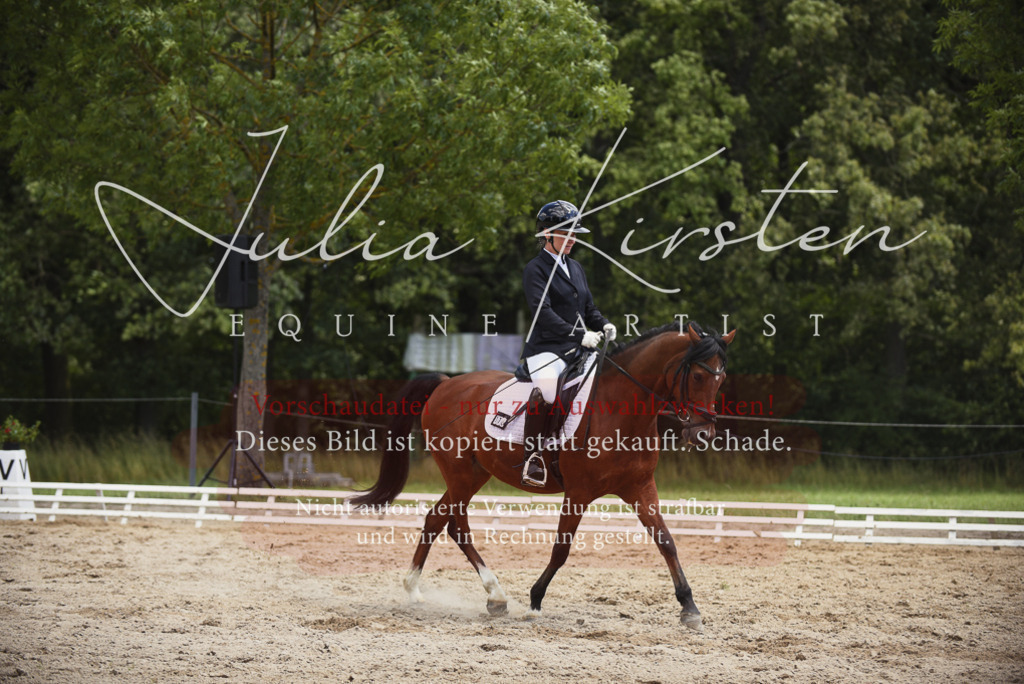 DSC_1538 | Pferde- und Turnierfotografie in Westsachsen. Pferdeportraits, Auftragszeichnungen und intuitive Kunst.