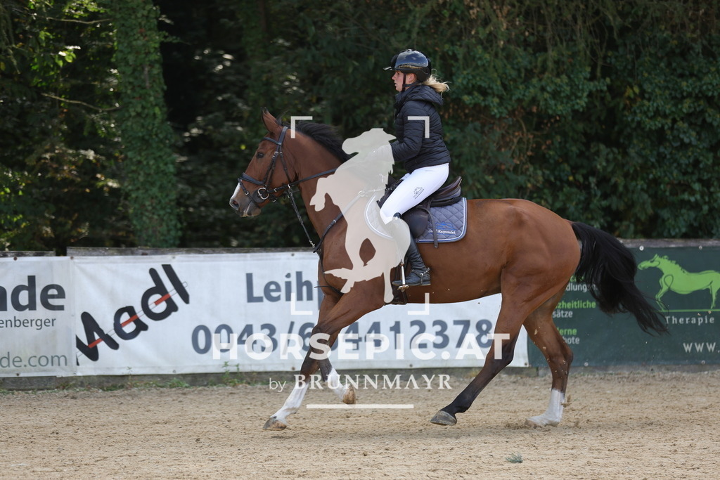 0P6A3040 | Willkommen bei Brunnmayr - Design & Fotografie – Ihrem Spezialisten für Reitturniere und Pferdeveranstaltungen in Oberösterreich, Salzburg und Bayern! Seit über 17 Jahren sind wir leidenschaftlich dabei.