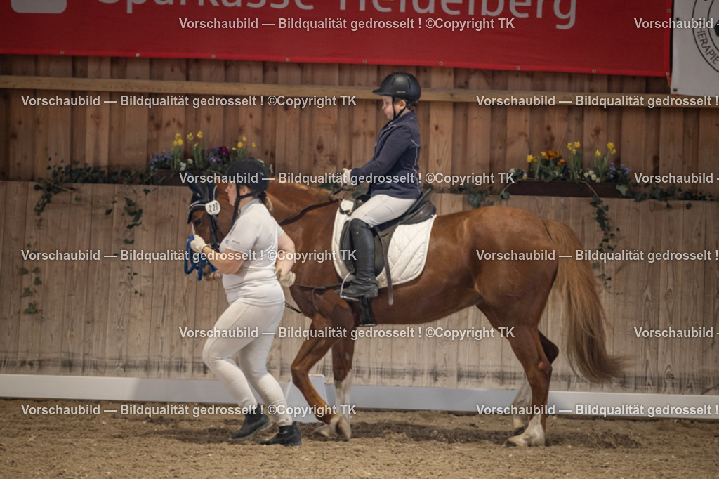 _D5A5353 | Emotionale Pferde- & People-Fotografie rund um Heidelberg, Leimen & Umgebung. Natürliche Fotos von Pferd, Mensch & Familie. Jetzt Termin sichern!