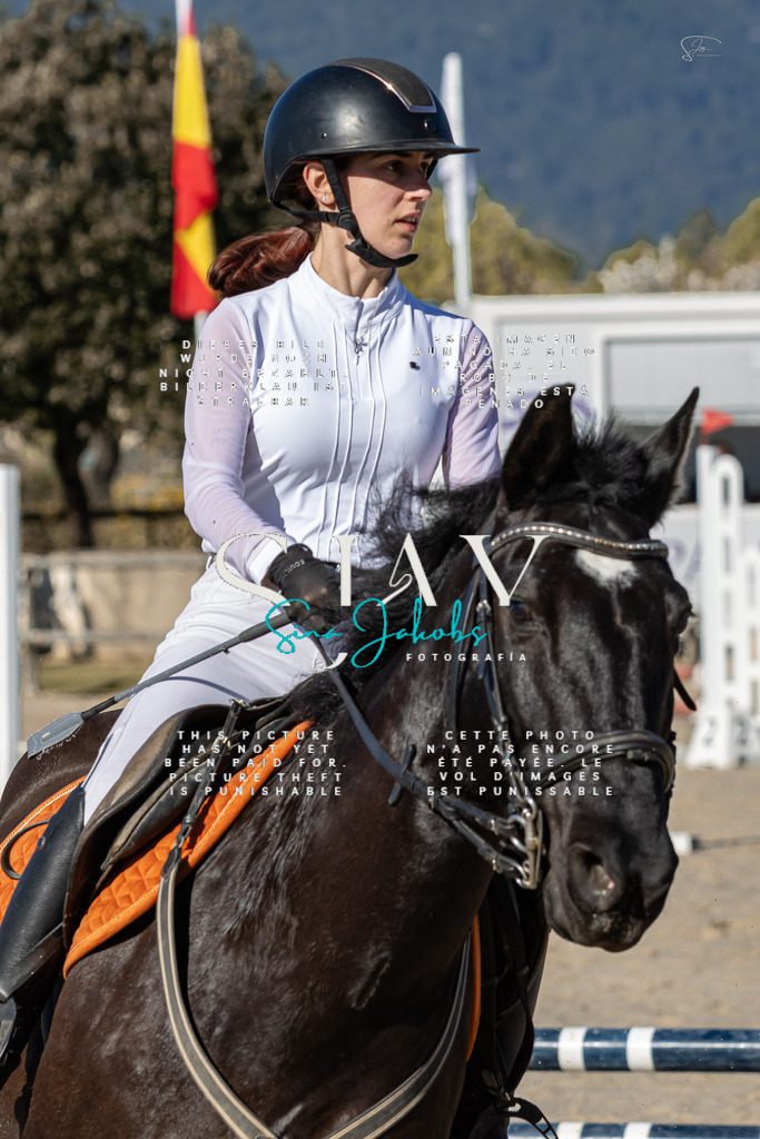 IMG_8321 | s-jay-photography - Realisiert mit Pictrs.com