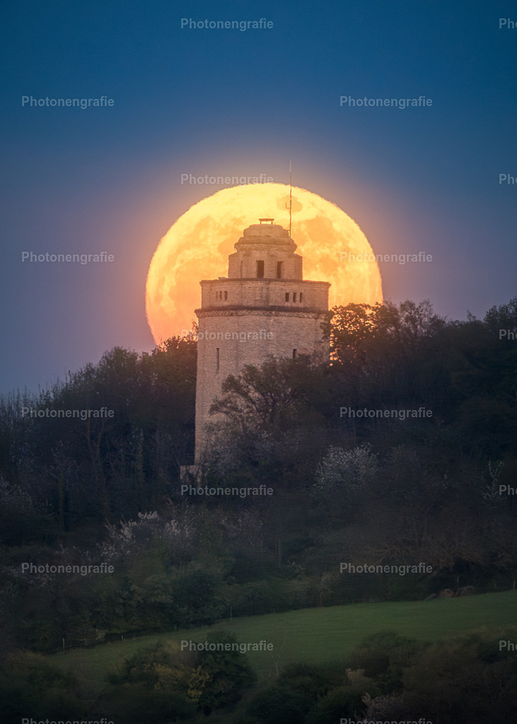 Ingelheim-22 | Photonengrafie´s Shop - Realisiert mit Pictrs.com