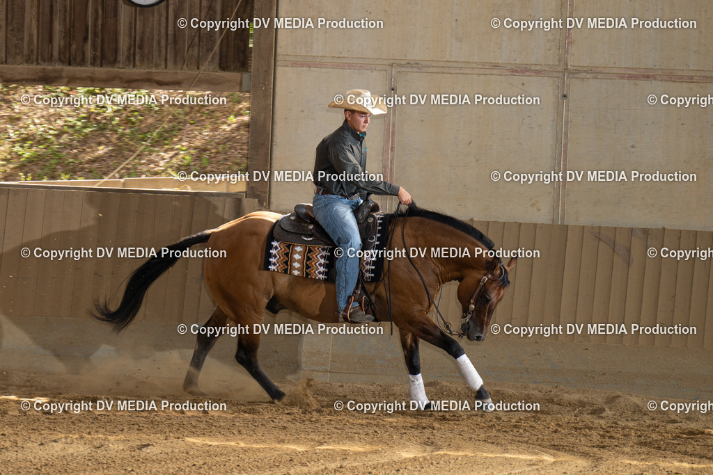 DSC00401 | dv-media-shop - Realisiert mit Pictrs.com