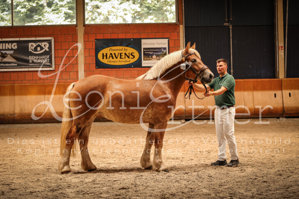 SaFL00405 | Leoni Ertmer Photography - Realisiert mit Pictrs.com