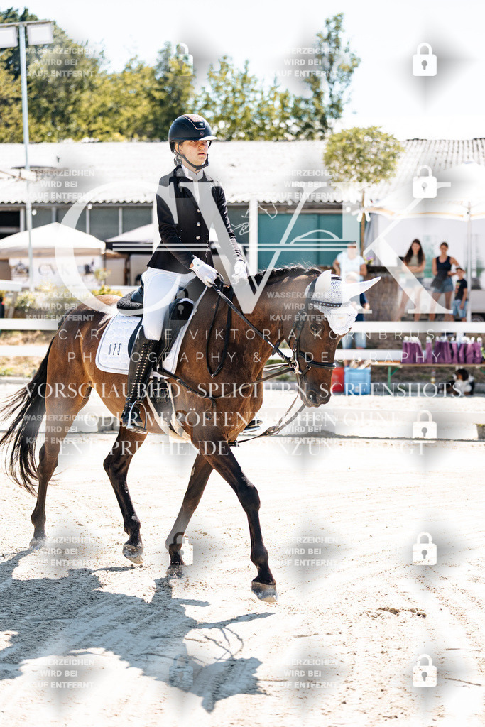 CK902236 | Turnierfotografie Pferdefotografie Trier Rheinland-Pfalz Pferdesport Reitsport Tierfotografie Sportfotografie Pferdevideo Pferdevideografie Equestrianvideography equestrianphotography  - Realisiert mit Pictrs.com