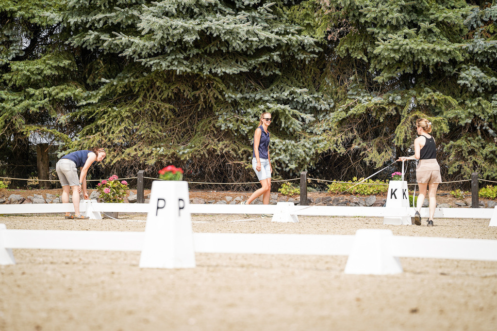 DSC04735 | Pferdegrafie