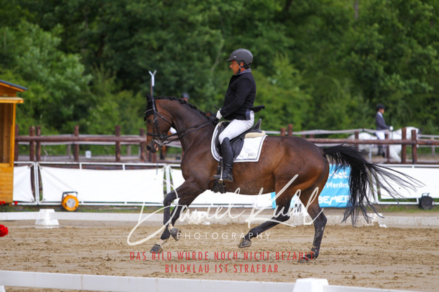 DKP40789 | Turniersportfotografie; Pferdefotografie; Dressurfotografie