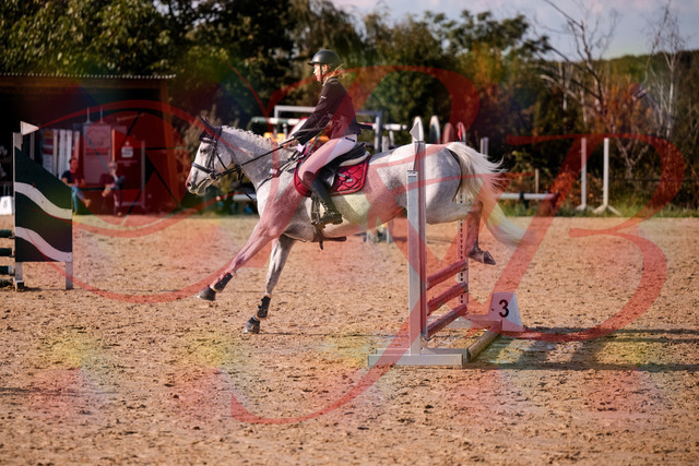 2026_10_03_Siefer-Hof_155127_Z81_70351101 | Professionelle Reitsport-, Turnier- und Eventfotografie von Robert Broda. Galerien mit ausgewählten und bearbeiteten Bildern direkt online ansehen und bestellen.