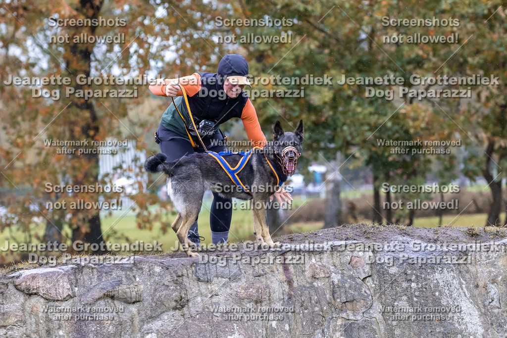 Dog Paparazzi - SD CaniX Championship 2025-848 | Dog Paparazzi Jeanette Grottendiek Fotografie & Videografie - Realisiert mit Pictrs.com