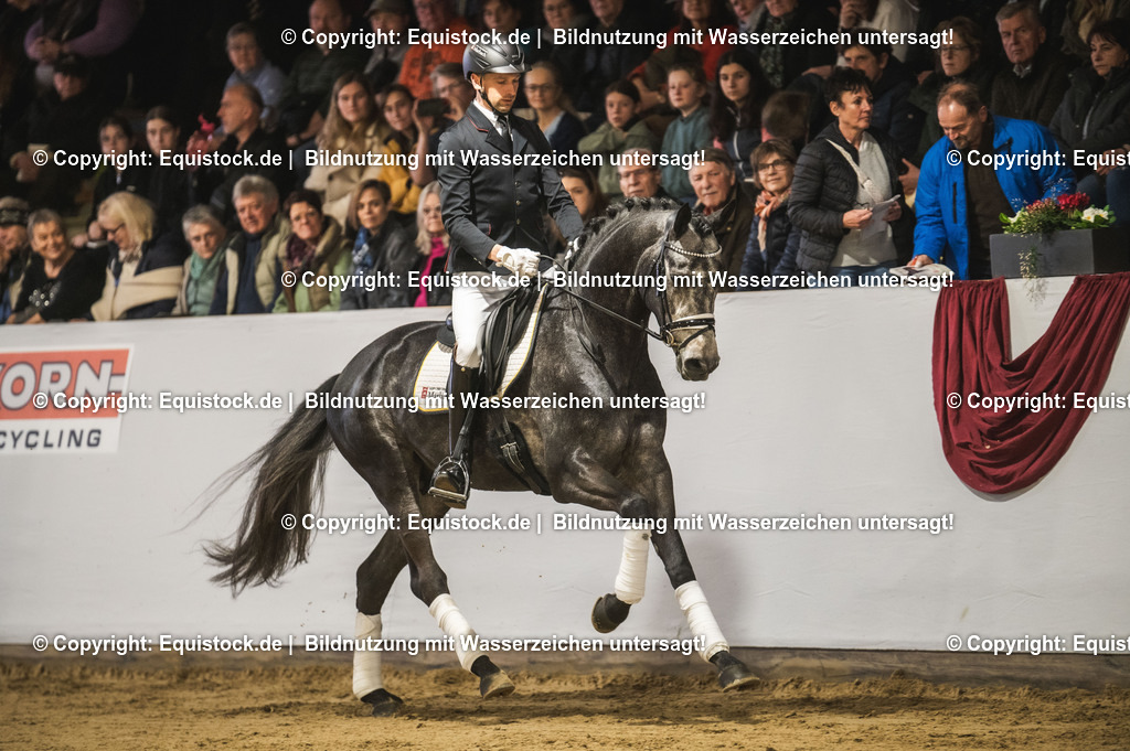 20240302_Hengstvorstellung_Marbach_TOMsPiC_0191 | equistock