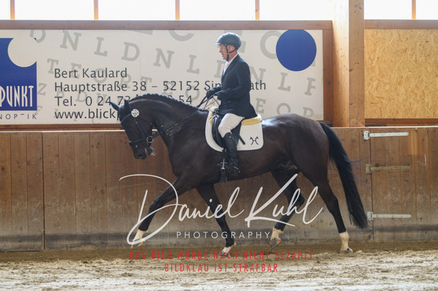 DKP43153 | Turnierfotos kaufen im Webshop von Daniel Kuhl Photography – entdecke professionelle Reitsportfotos aus Turnieren & Events. Hochwertige Turnierbilder online bestellen & sichern. Jetzt Fotos von Reitsportturnieren kaufen!