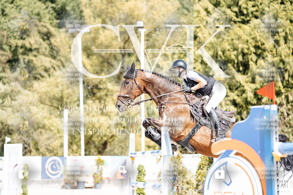 CK904907 | Turnierfotografie Pferdefotografie Trier Rheinland-Pfalz Pferdesport Reitsport Tierfotografie Sportfotografie Pferdevideo Pferdevideografie Equestrianvideography equestrianphotography  - Realisiert mit Pictrs.com
