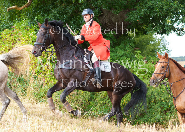 Jagd Knoop 26_MarinaHewigMCH02535 | Fotografie, FotoArt, PferdesportArt, Pferdesportfotografie, Landschaftsfotografie, Reisefotografie, Reise, Pferde - Realisiert mit Pictrs.com
