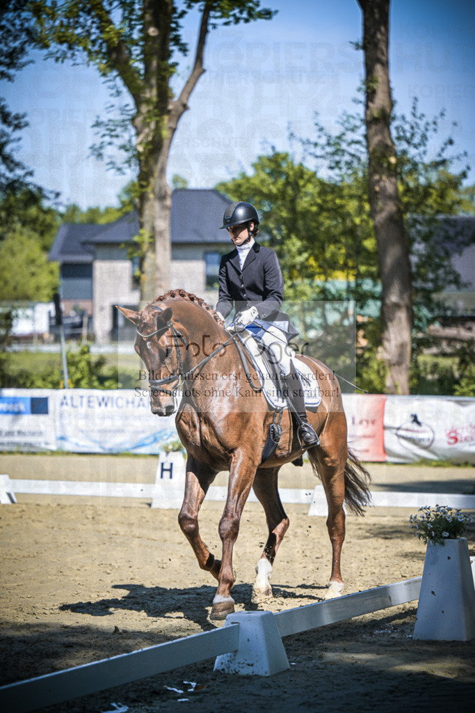 DOS_6720 | Entdecke hochwertige Reitturnierfotos von Foto Oger. Professionell, emotional und authentisch – jetzt Lieblingsmomente im Shop bestellen.Deutschlandweite Turnierfotografie. - Realisiert mit Pictrs.com