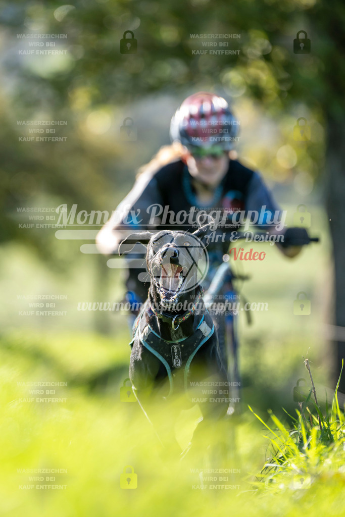 MompixPhotography_20TSB_E3_DS1-15 | PayLife