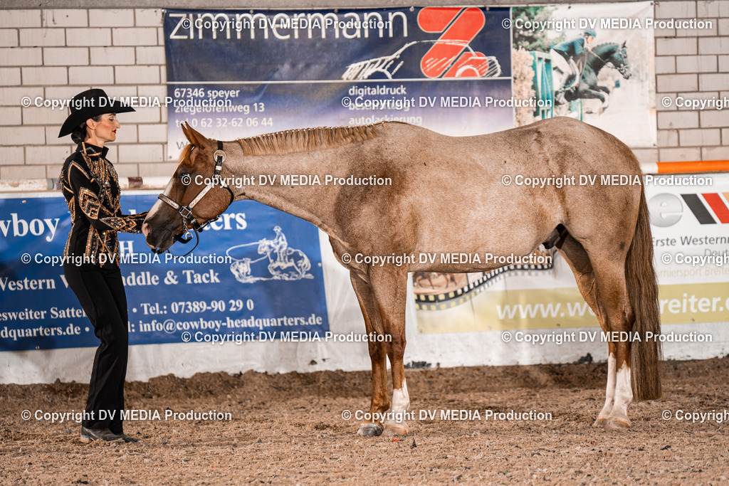 ZH200072 | dv-media-shop - Realisiert mit Pictrs.com