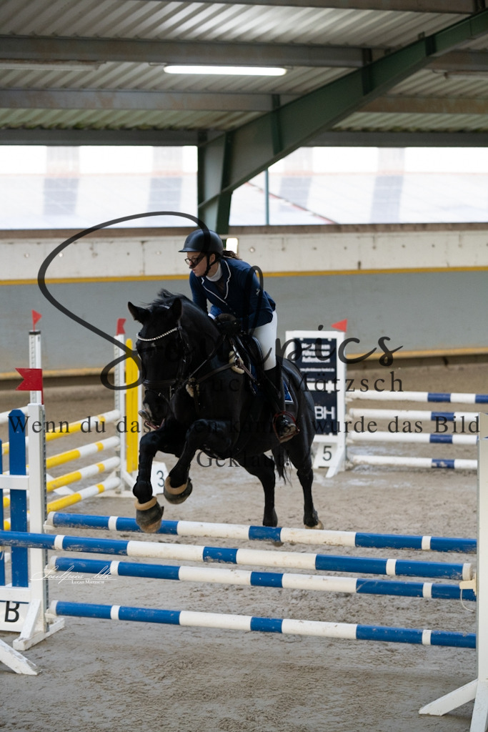 A7V01599 | Pferdefotograf