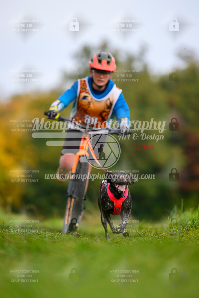 MompixPhotography_CDLBDB2025_DI_DS-98 | PayLife