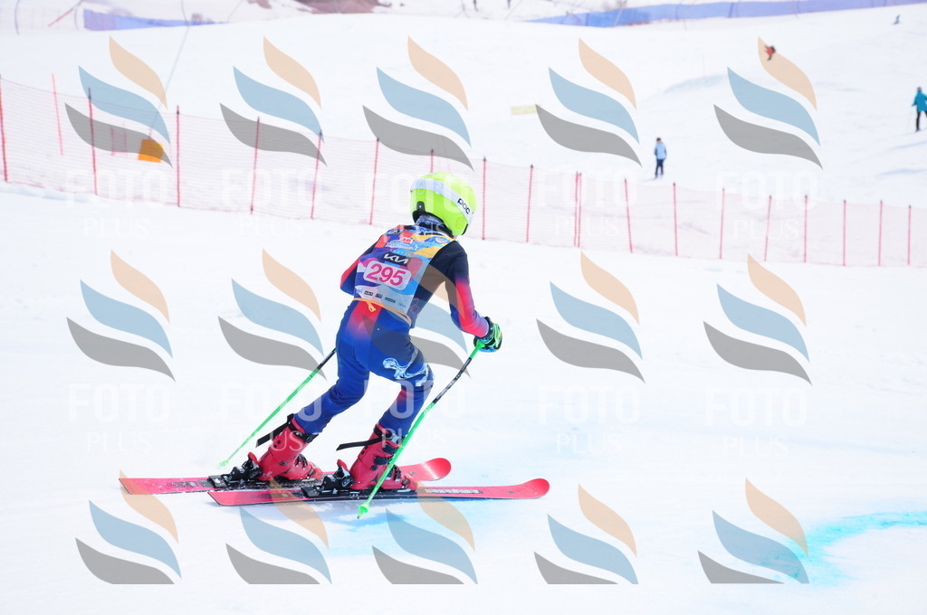 DSC_6633 | holidayphoto