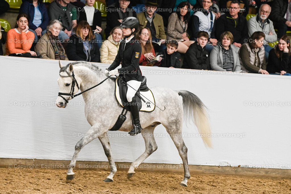 20260307_Hengstvorstellung-Marbach_0417 | equistock