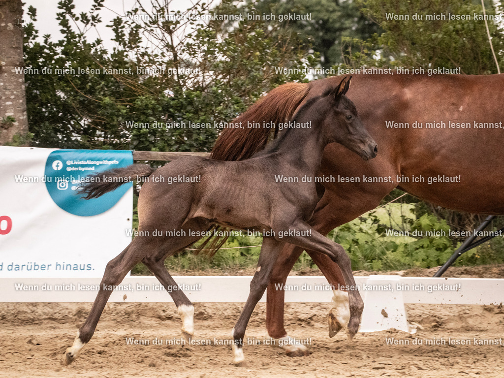 A10I5110 | photographylinaismer - Realisiert mit Pictrs.com