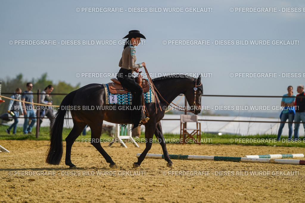 DSC01317 | Pferdegrafie