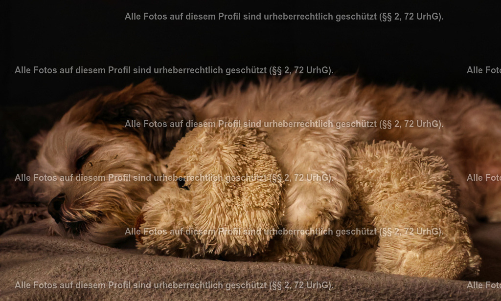 20240320213632_0C4A4056-01_3 | krollfotografie - Realisiert mit Pictrs.com
