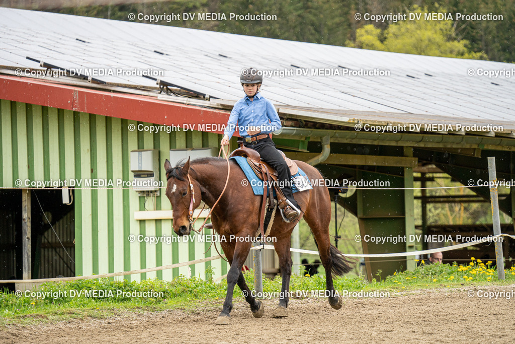 BAL00806 | dv-media-shop - Realisiert mit Pictrs.com