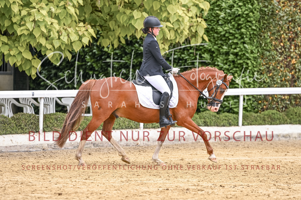 Schugtsche-Aluta25-43.EDressur -142 | Schugtsche Fotografie - Realisiert mit Pictrs.com