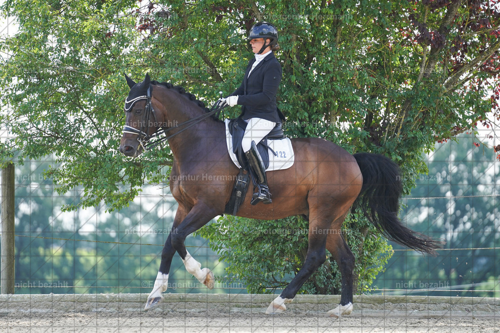 20230826-FAH05722 | Forstinning, 2023, Dressurturnier, Turniersportbilder, Turnierfotografen Bayern, Fotoagentur Herrmann, Reitsportfotografie, Turnierbilder