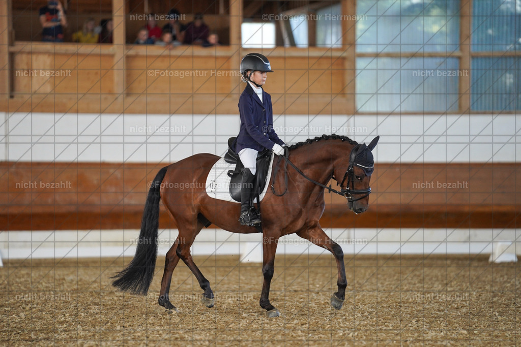 20240824-FAH07188 | Thierhaupten 2024, Bayerisches Landesponyturnier, Turnierbilder, Ponybilder, Turnierfotografen Bayern, Fotoagentur Herrmann