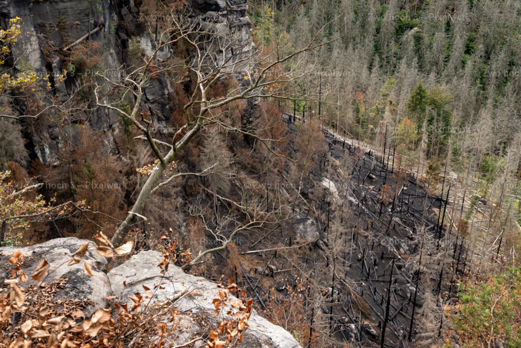Obere_Affensteinpromenade_Felsen_Abhang_Waldbrand_Ast | 2022-09-02_Waldbrandgebiete_2 - Realisiert mit Pictrs.com