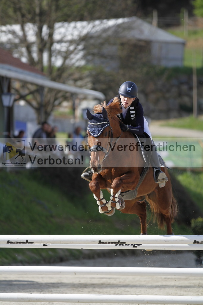 _MG_8080 | equestrian-live-com