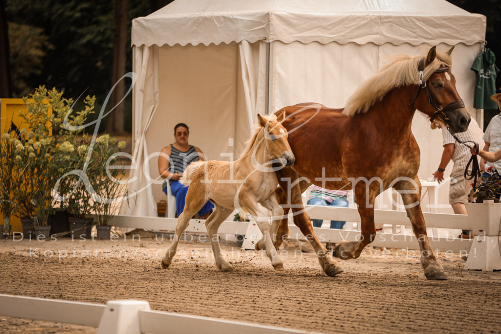 SaSF00022 | Leoni Ertmer Photography - Realisiert mit Pictrs.com