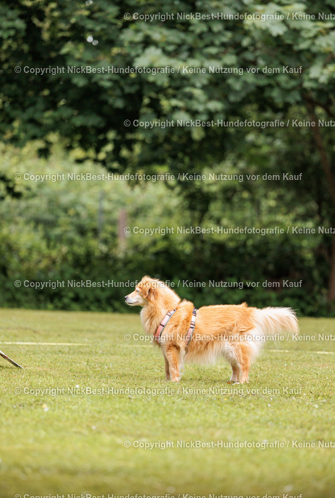 RO-Blumenthal-2026-Nickbest-Hundefotografie-1529 | Dein Hund! Dein Moment! Deine Erinnerungen! Hundefotografie in Bremen Blumenthal. Ich fange die besonderen Momente deines Vierbeiners ein – ob Indoor mit Blitzanlage oder in der freien Natur. Sicher dir dein Moment und dein Termin für eure Erinnerungen.